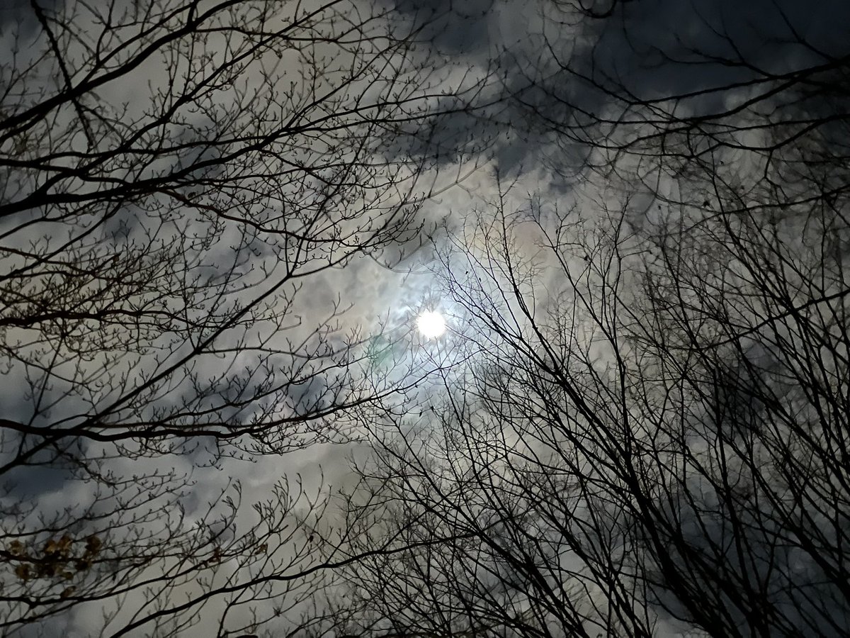 yuka (@ygosl111) / Posts / X