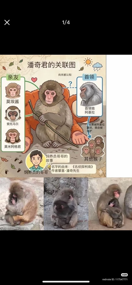 Somebody on Xhs shared the names of Punch three friends. However