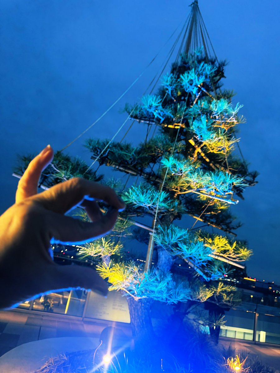 Ricky.A.P👽愛称:リケピー🚀 (@Ricky_A_Prmkv) / Posts / X