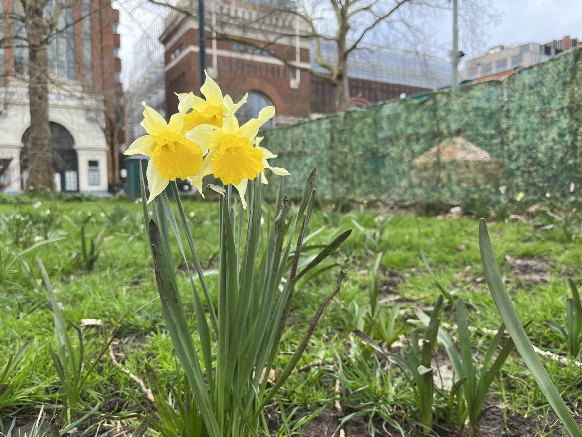 Happy St David’s Day!