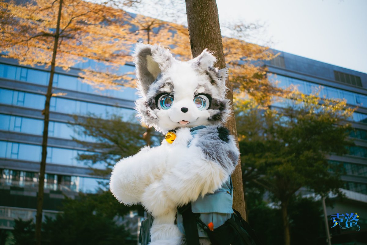 Cold（克洛） tweet media