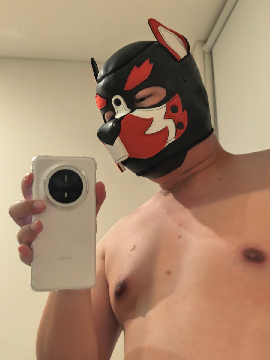 Zc ccc xxl tweet media