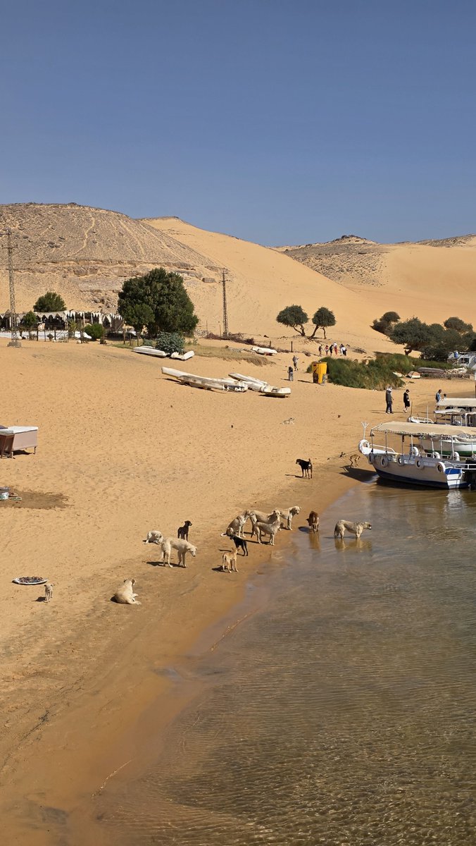 Forocoches tweet media