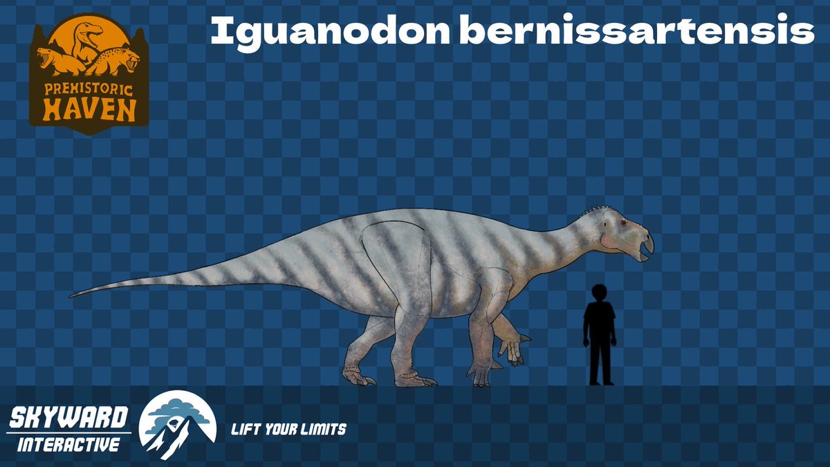 SkyWard Interactive tweet media