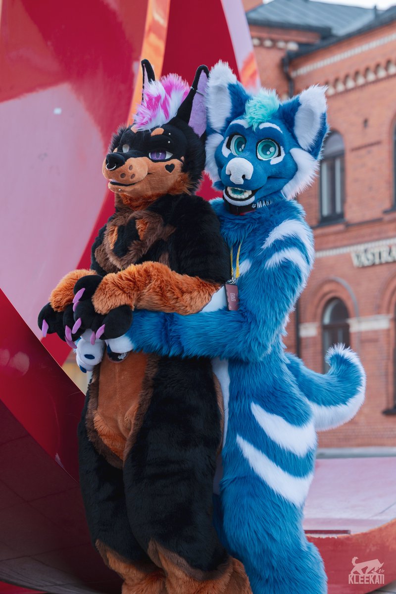 Bropix 🔜 DoggyWeekend Berlin tweet media