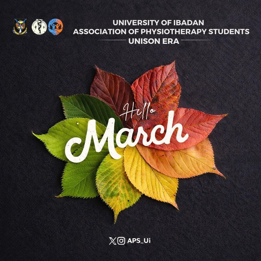 UI Physiotherapy tweet media