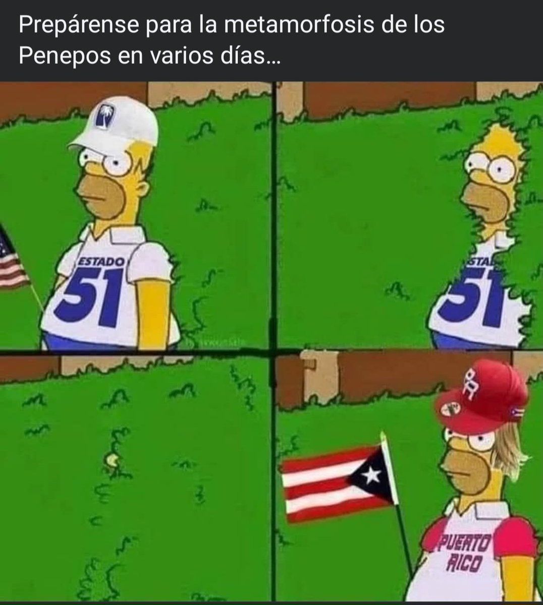 🤣🤣🤣🤣🤣🤣🤣