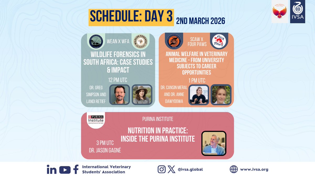 IVSA GLOBAL tweet media