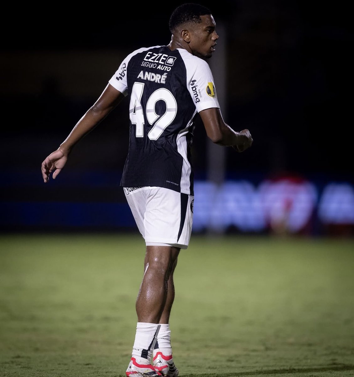 Venê Casagrande tweet media