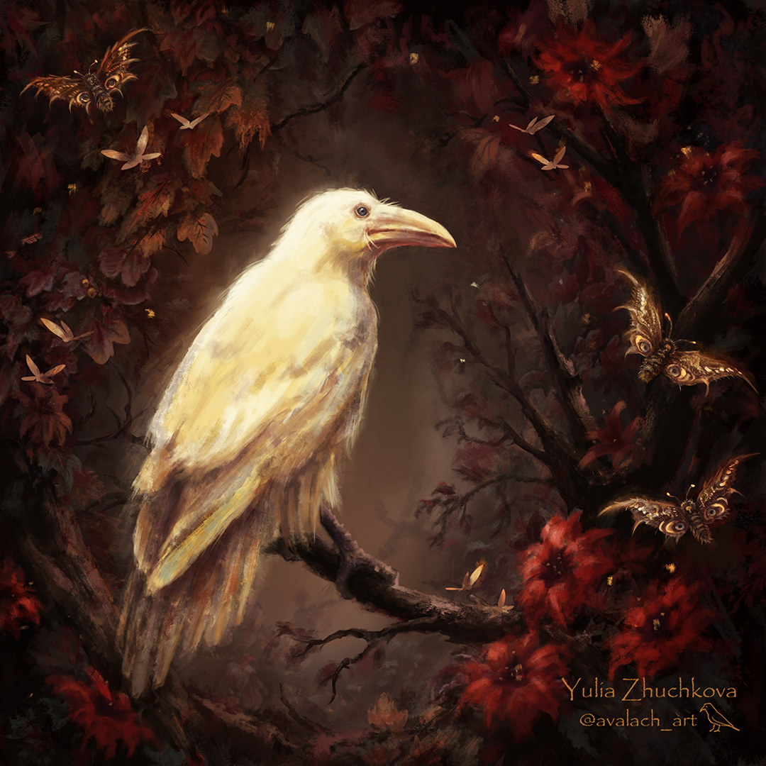 Yulia Zhuchkova (Avalach) tweet media