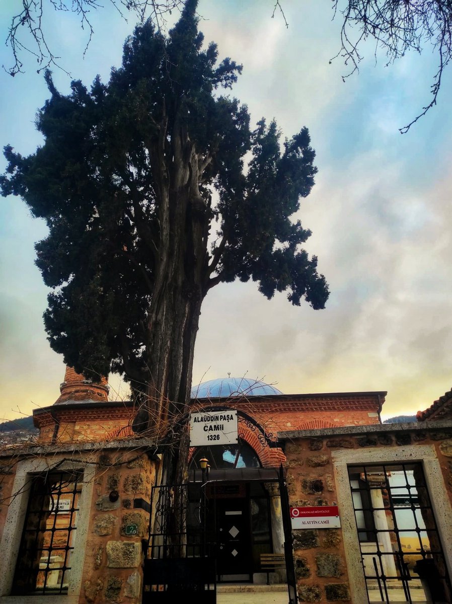 Bursa Tahtakale Buluşmaları tweet media