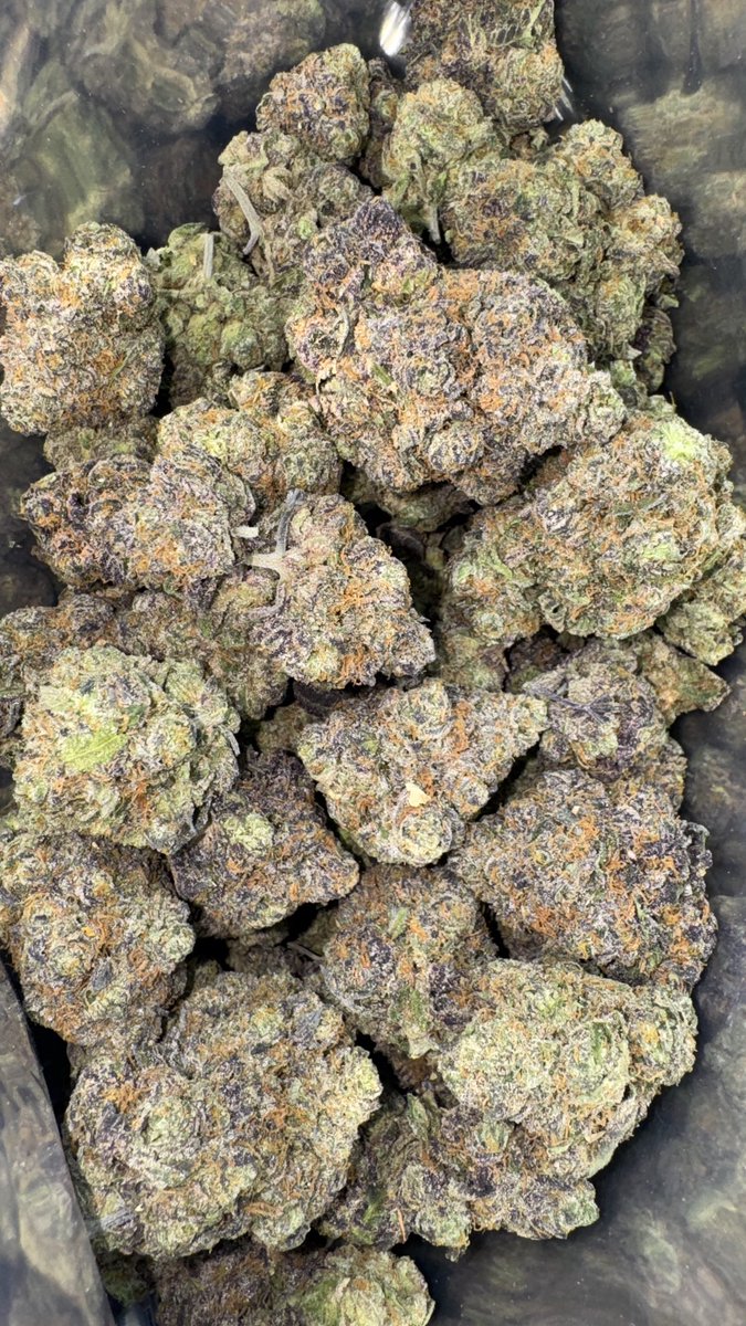 thedankflamingo's tweet photo. Dank Nerds - Save $ With Keyword: DANKFLAMINGO
Dank Nerds Link: https://t.co/tRECVfjkcN
The Dank Flamingo Line: https://t.co/GJkUMpy5Or
#hemp #cannabis #thca
#cannabis #cannabisculture #cannabisindustry #weed #WeedLovers #thc #THCA #thc #weed #dankflamingo #thedankflamingo #cannabiscommunity #hemp #cannabis #thca
#cannabis #cannabisculture #cannabisindustry #weed #WeedLovers #thc #THCA #thc #weed #dankflamingo #thedankflamingo #cannabiscommunity #thcasmallbud #thcasmallbuds