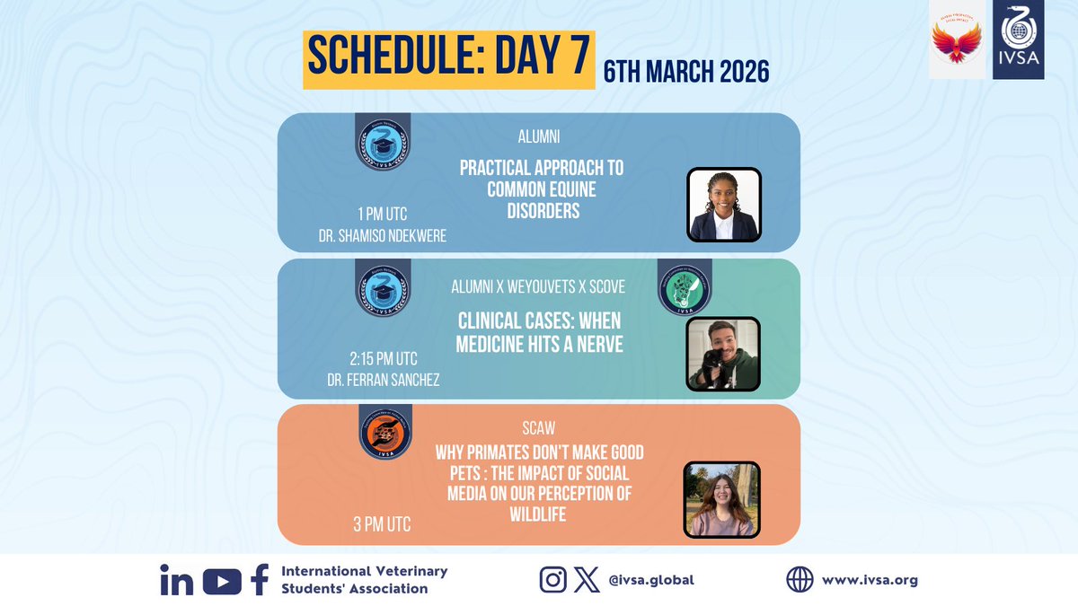 IVSA GLOBAL tweet media