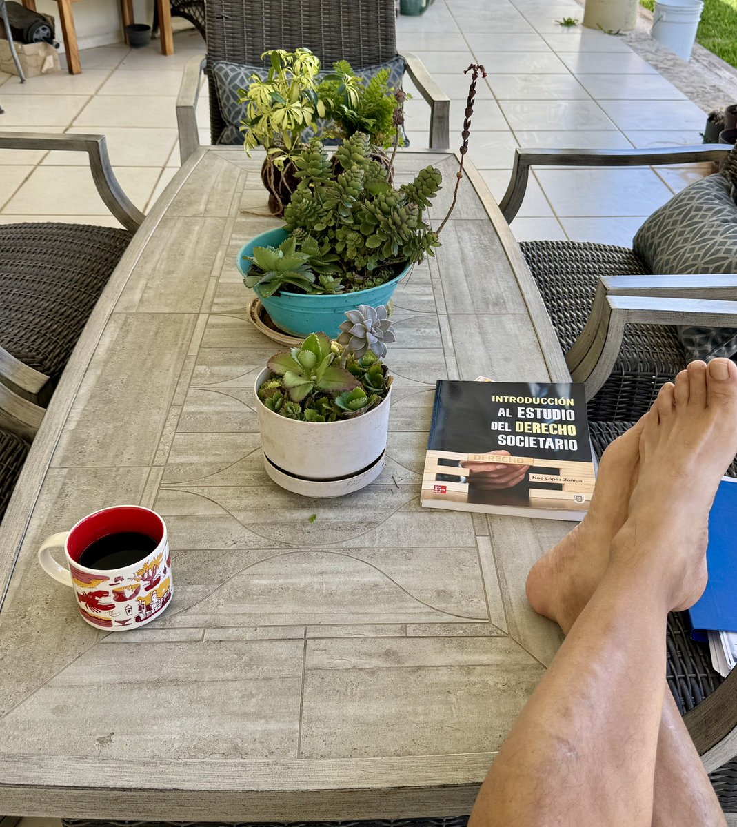 Dᴇꜱɪᴅᴇʀɪᴏ Jᴏꜱᴇ Mᴀɴᴜᴇʟ 🇲🇽 tweet media