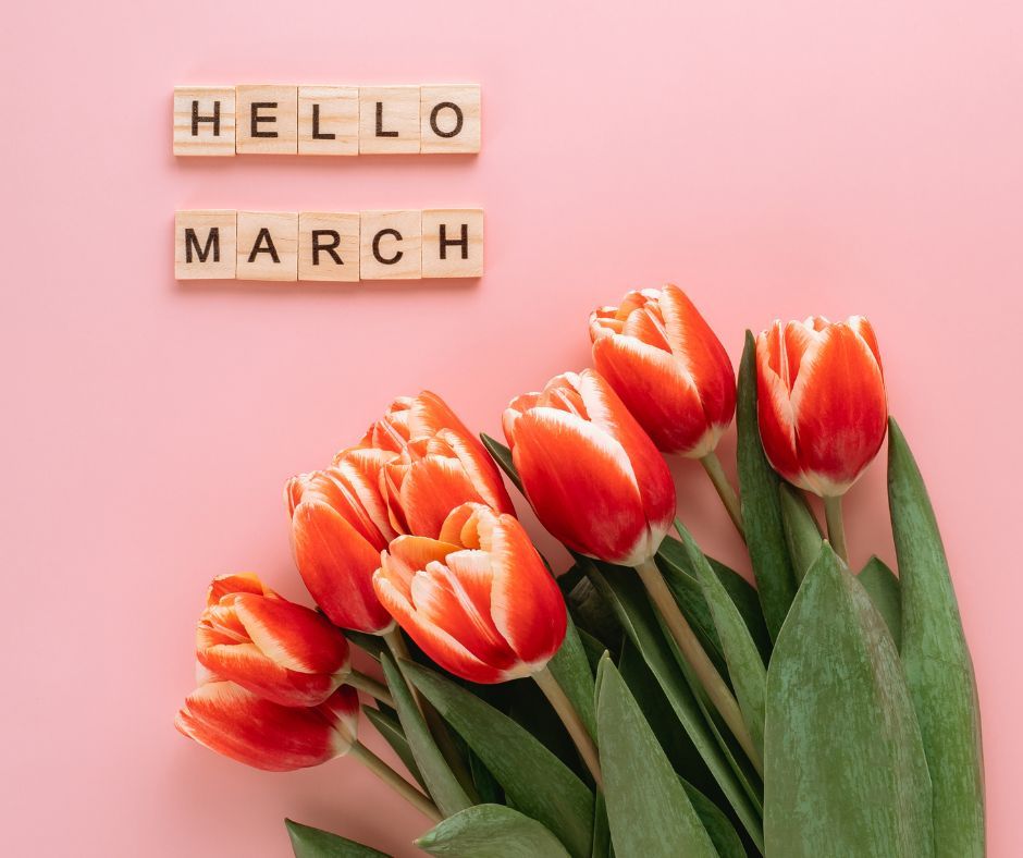 Corn Belt Energy tweet media