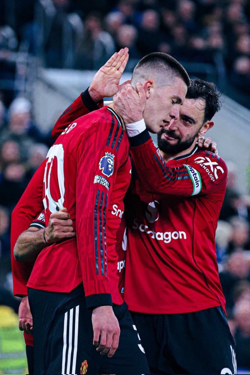 lobistar Assistant tweet media