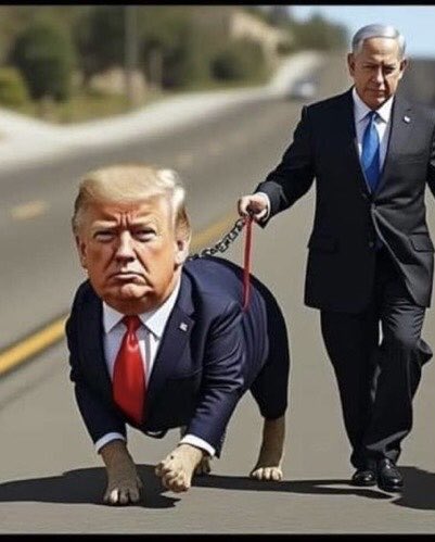 KaranliginKizi7's tweet photo. YİNE #SÖYLEDİĞİMİZ GERÇEKLEŞTİ !😉
🗣NE DEMİŞTİK !
#TRUMP un SONU #GELDİ
#ABD HALKI SAPIK PEDOFİLİ HASTASI #TRUMP a #GÜVENMİYOR da #İSTEMİYOR da #SENATODA GÖREVDEN #AZLEDECEKLER
#HALK AYAKLANMASI #KAOSA sonra #İÇ SAVAŞA DÖNÜŞECEK ve TRUMP #YARGILANACAK
https://t.co/xQGVERkD26 https://t.co/S7LbuQBAVA