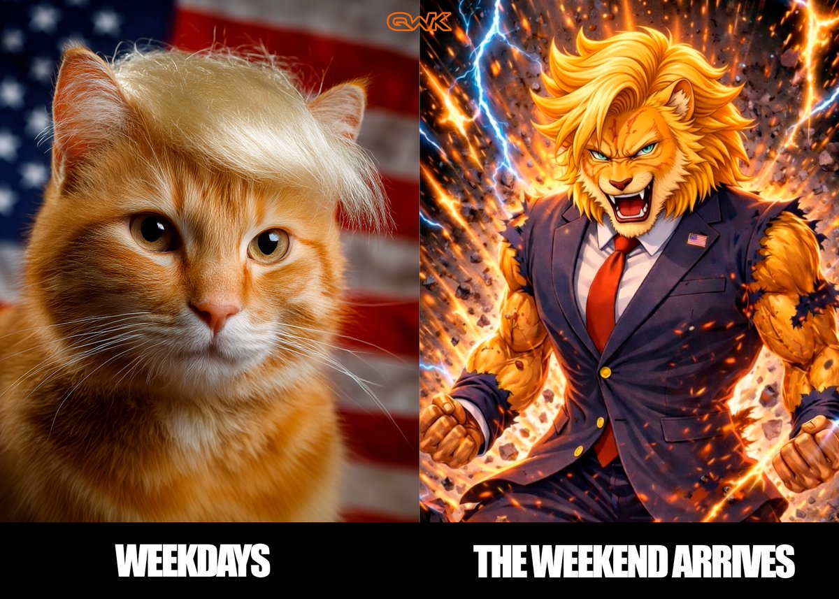 QWK Sᴛᴜᴅɪᴏ tweet media