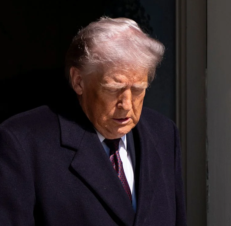 إياد الحمود tweet media