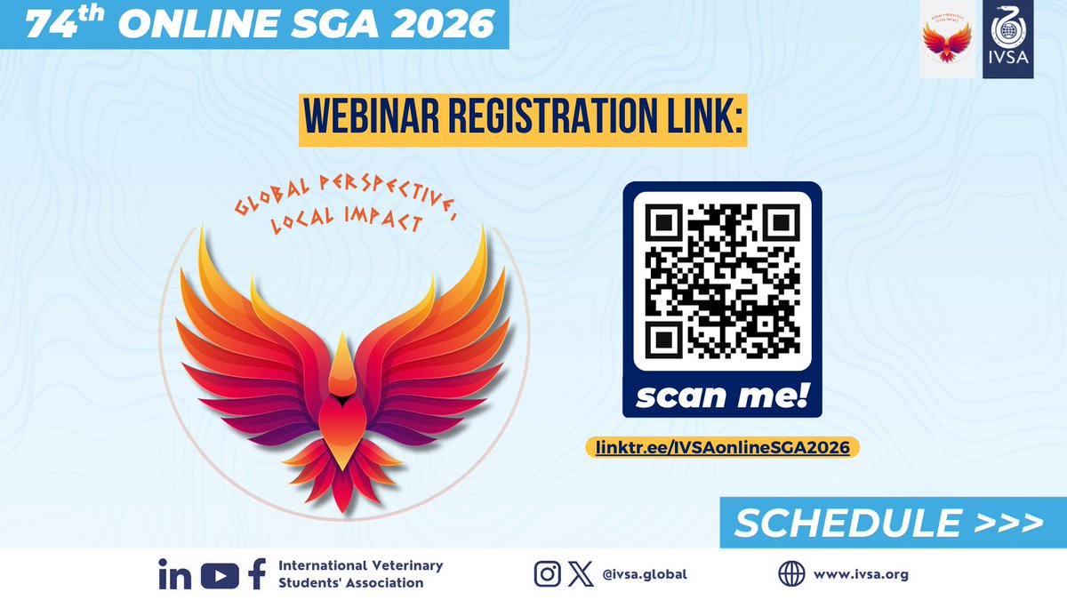 IVSA GLOBAL tweet media