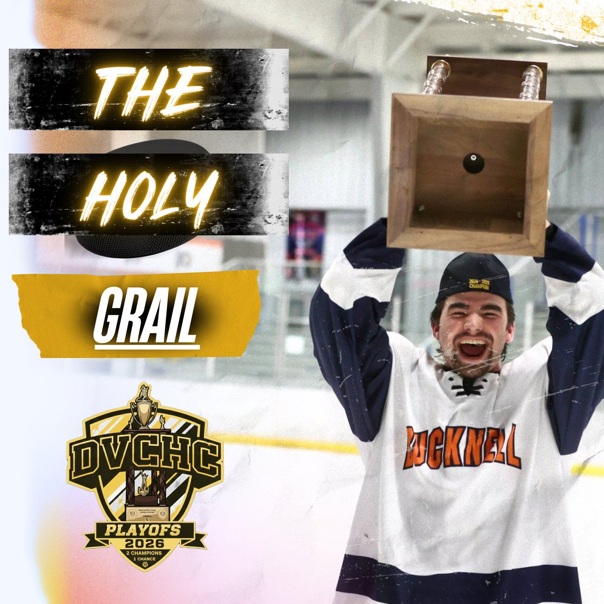 DVCHC Men's Hockey tweet media