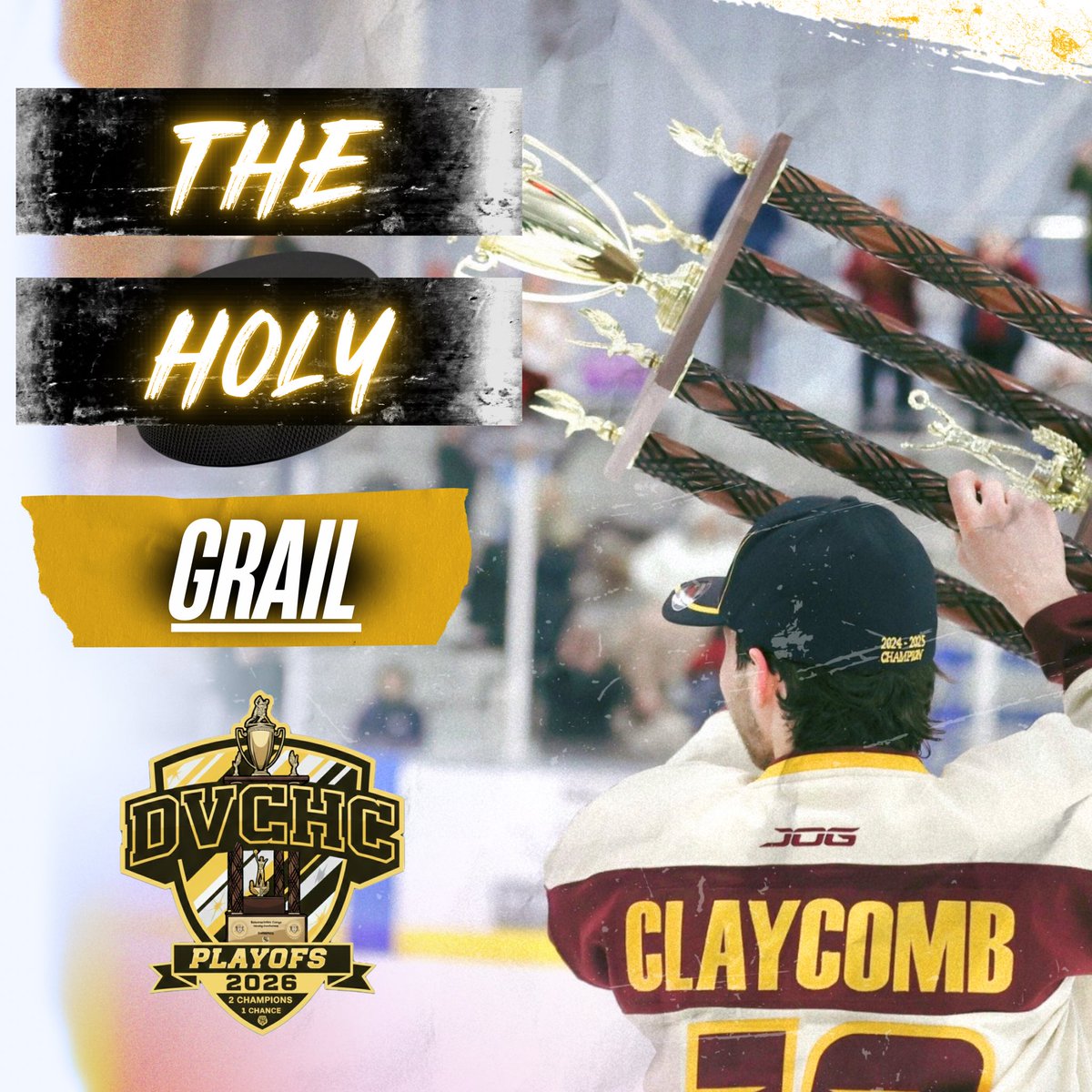 DVCHC Men's Hockey tweet media