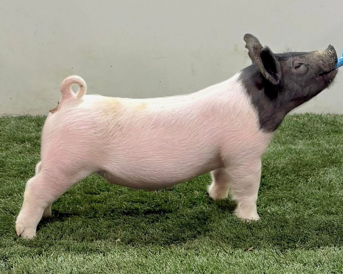 Office of Indiana State Chemist tweet media