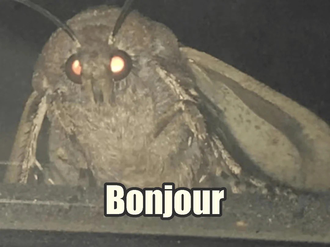 The loading screens in #MarathonGame for some reason