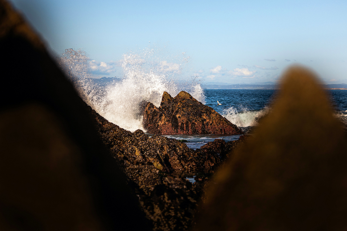 Cal State Monterey Bay tweet media