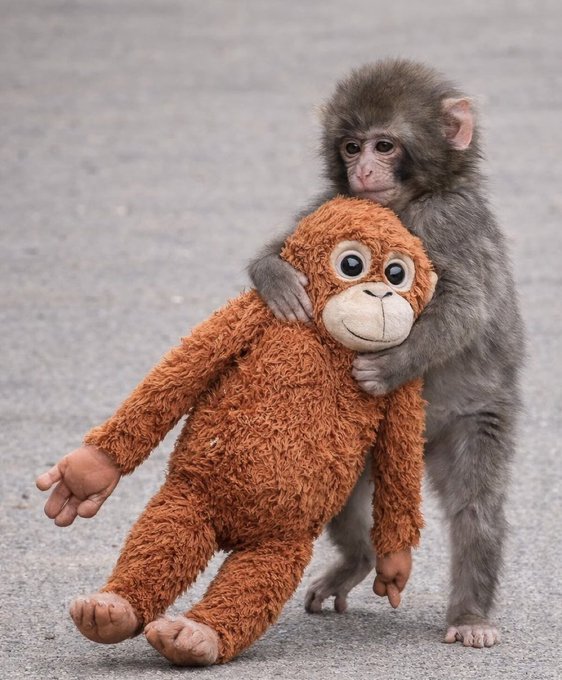 Can we get an update on all the rewards, donations, buybacks, boosts, etc.? Thanks