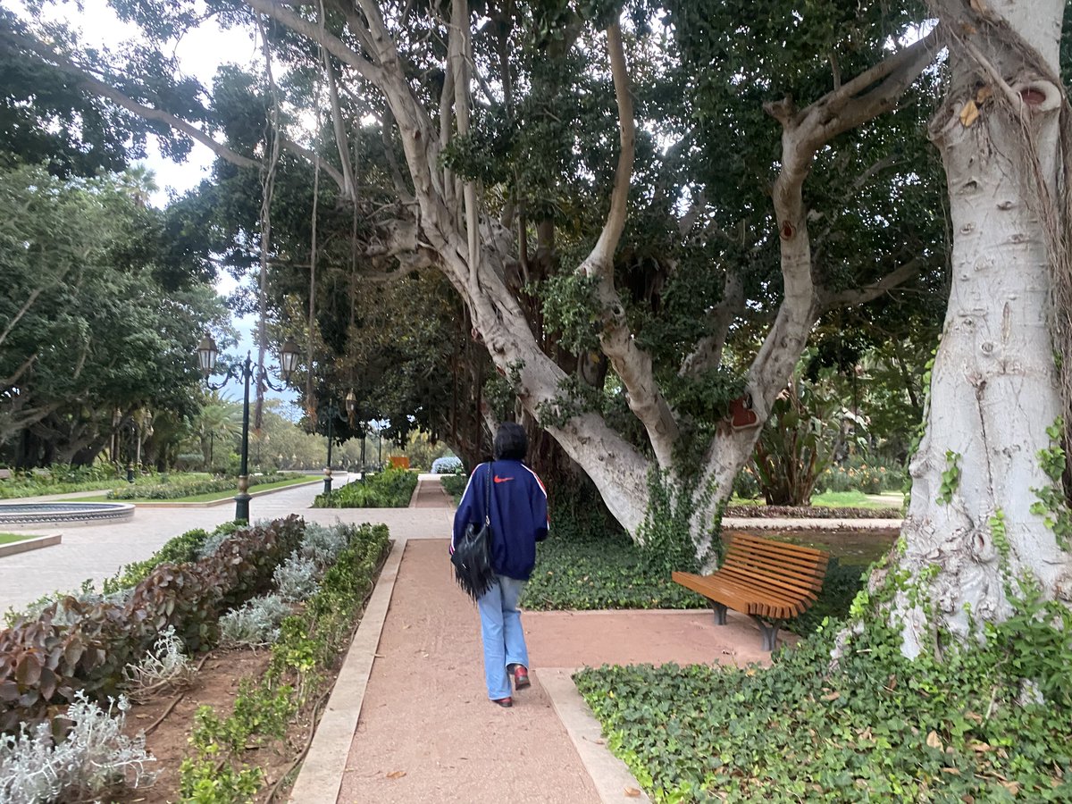 krimo 🫧 tweet media