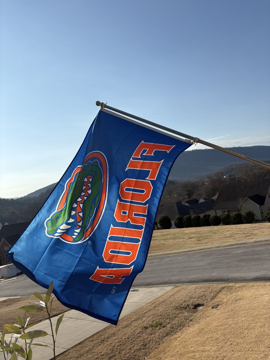 Michael Lane 🌴 tweet media