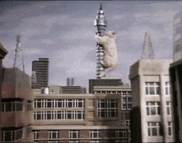 squeakyfrom tweet media