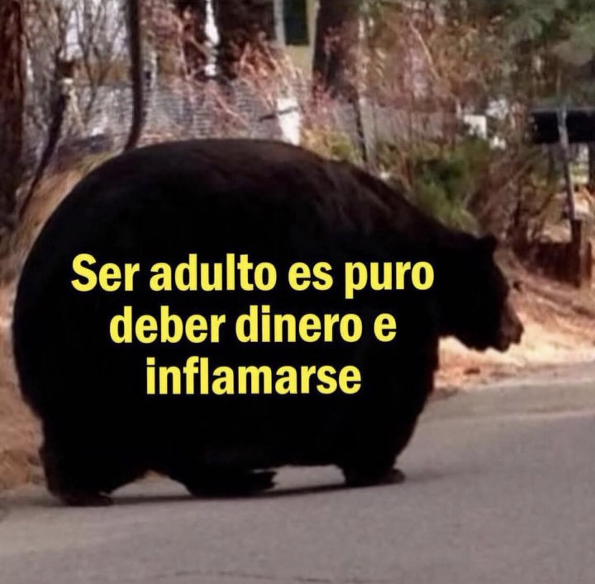 cxrrly's tweet photo. Tal cual https://t.co/11t8qVHFTb