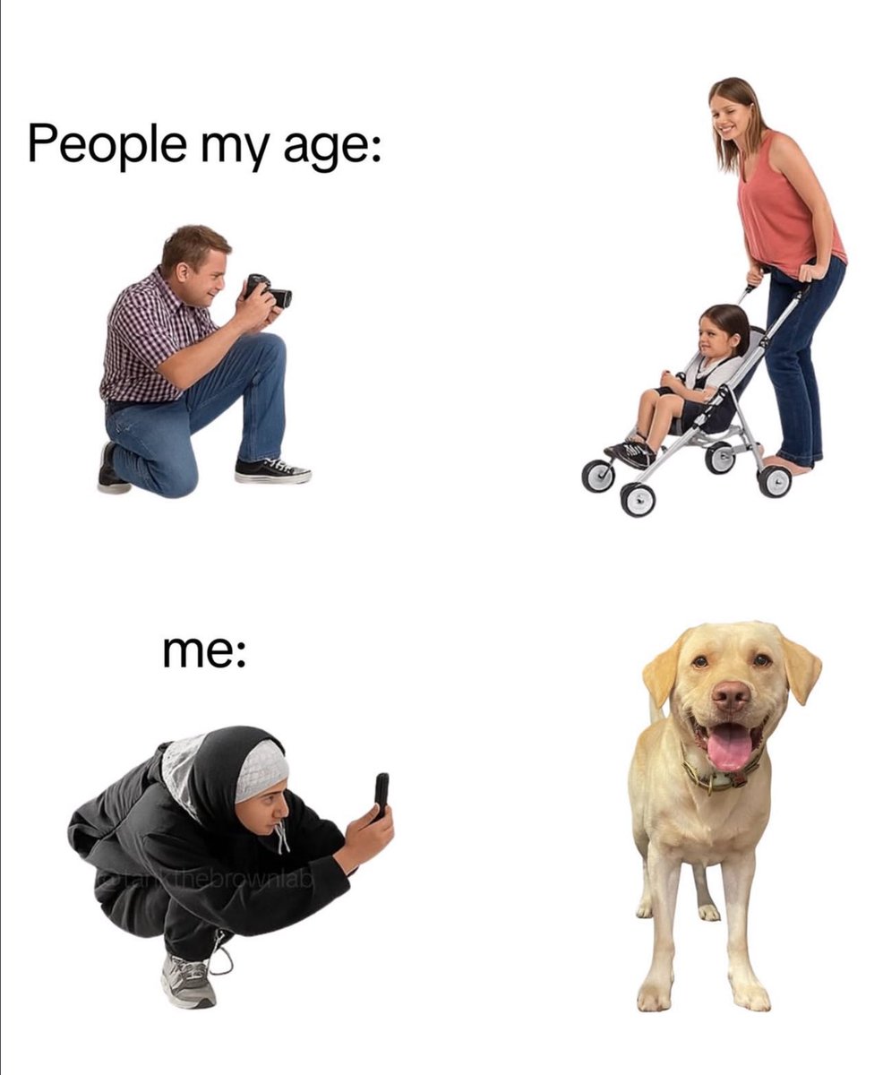 Puppies 🐶 (@puppiesiover) on Twitter photo 