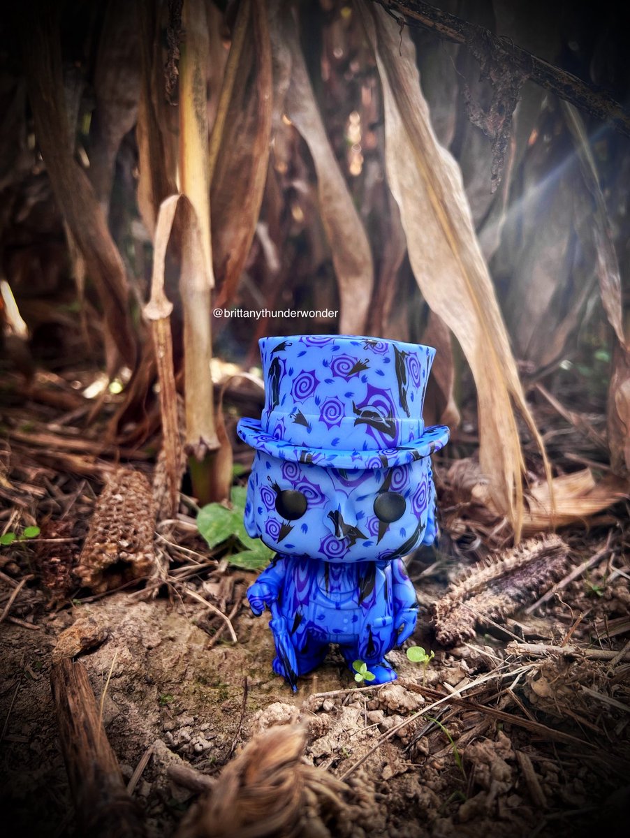 BThunderWonder's tweet photo. 🖤Penguin🖤 #Penguin #Batman #Funko #DCComics #FunkoPop #FunkoPhoto #FunkoPhotography #FunkoPhotoADay https://t.co/PnhnJ4GrwL