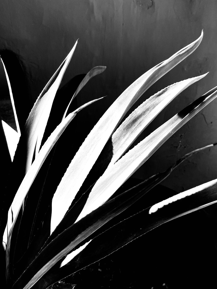 jimmy peggie tweet media