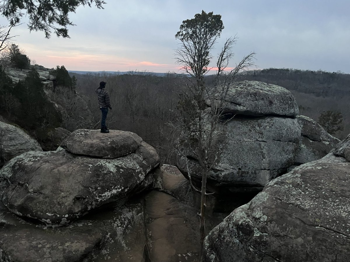 rickticktavis tweet media