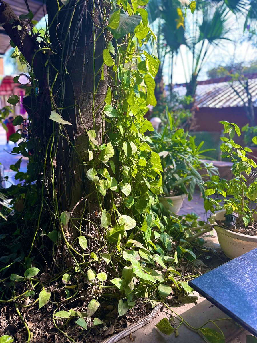 sonisfood's tweet image. Feb had some gorgeous days showing us such varied hues. Share QP your favourite February Shots📸 

#Photography 
#February