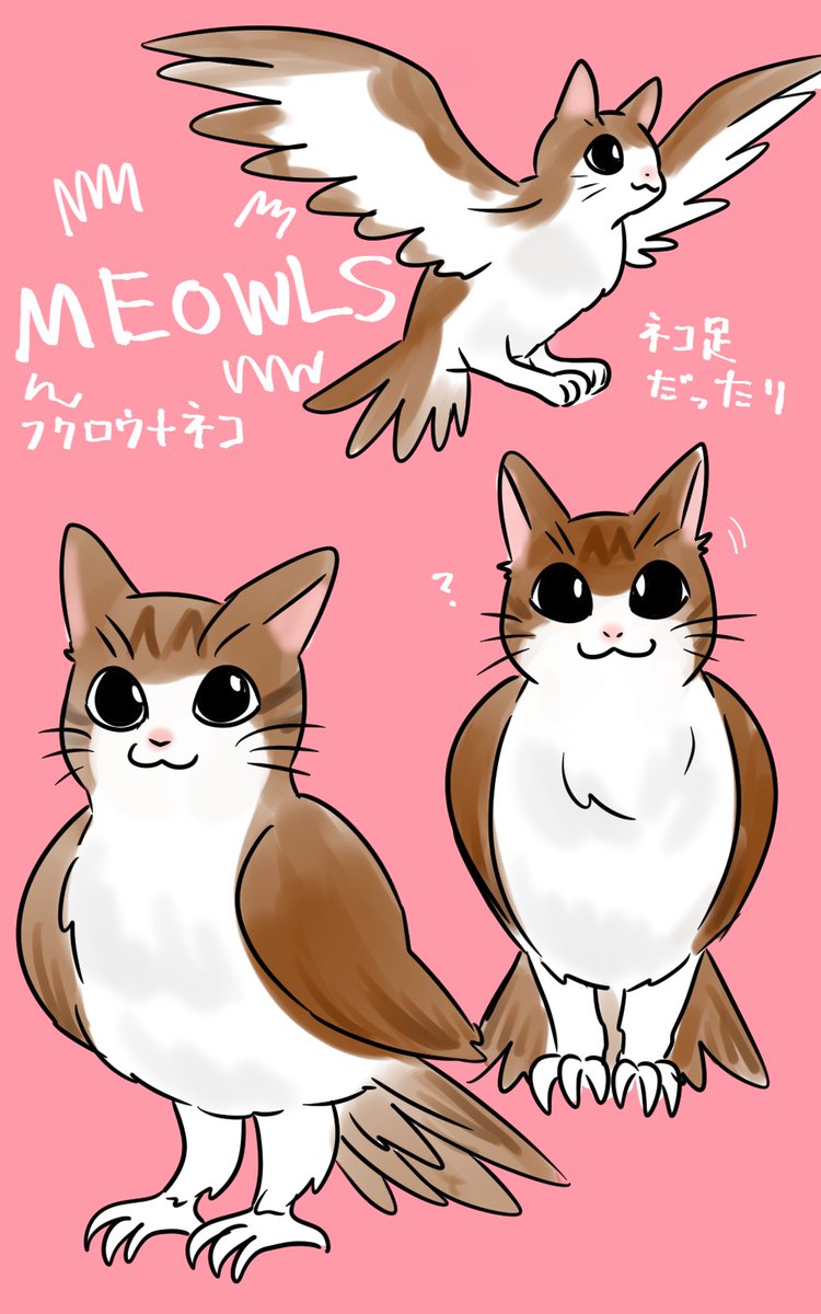 かいわれ tweet media