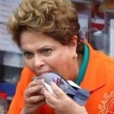 Gustavo Rech tweet media