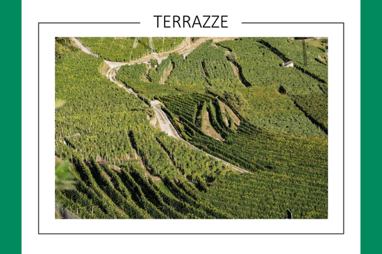 ItaliadelvinoC's tweet photo. Terza serata del mio corso ad UNITRE,  a Siziano
Si è parlato di Franciacorta e Valtellina

Due vini raccontati
Castello Bonomi: Cuvée 1564 Franciacorta Brut Nature DOCG 
Nino Negri:  5 Stelle Sforzato di Valtellina DOCG

#unitre #italiadelvinobertolli 
#CastelloBonomi #NinoNegri https://t.co/8Q5khRIX4P