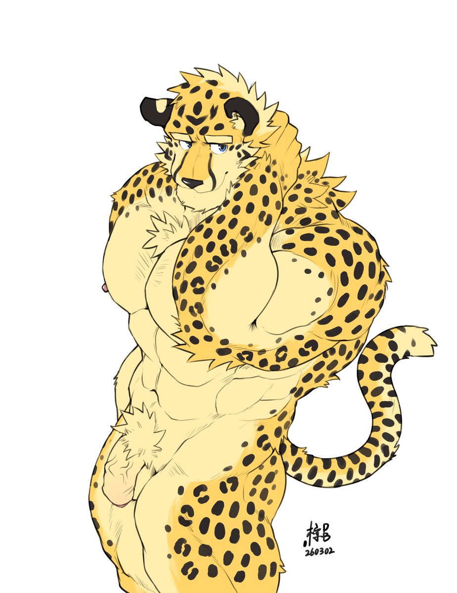 蘸血棕毛.DB tweet media