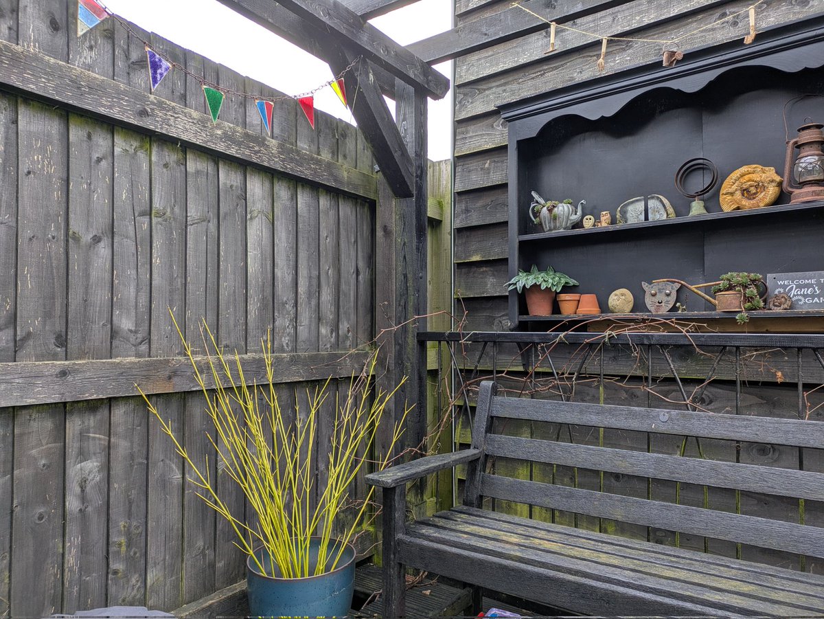 GardenSnippets's tweet photo. A quick trick that I use to brighten a dark corner at this time of year - if you have cornus, prune some branches, take a large pot and place an engineering brink (with holes) in the bottom, arrange your branches and you'll have a pot of sunshine on the greyest of days! 💛 https://t.co/Yyfas3m7Jc