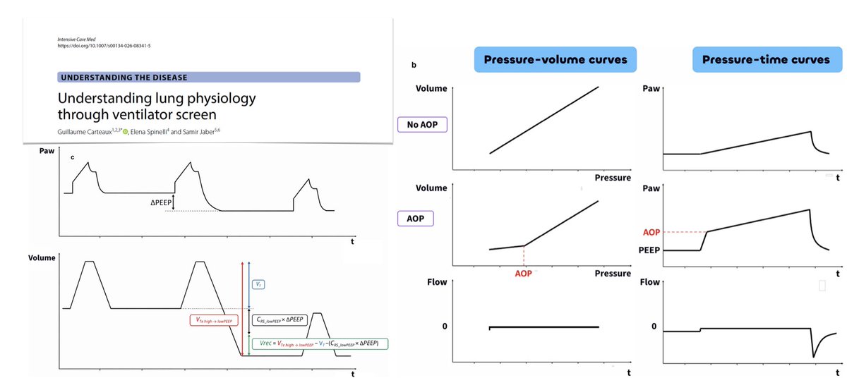 M Velia Antonini tweet media