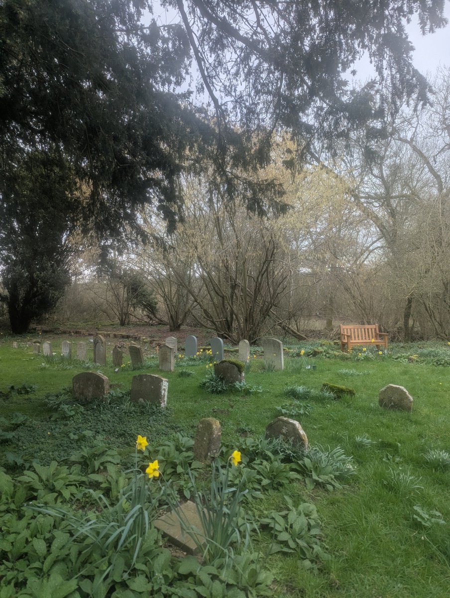 Ruby Dunn tweet media