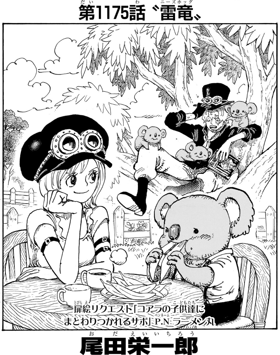 Daily Koala tweet media