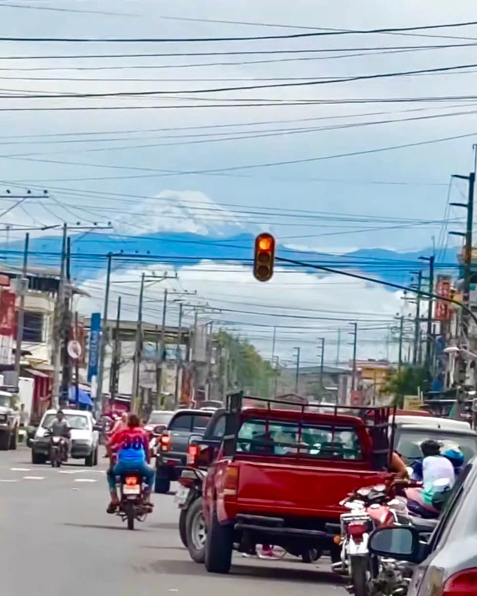 Bryan Diaz tweet media