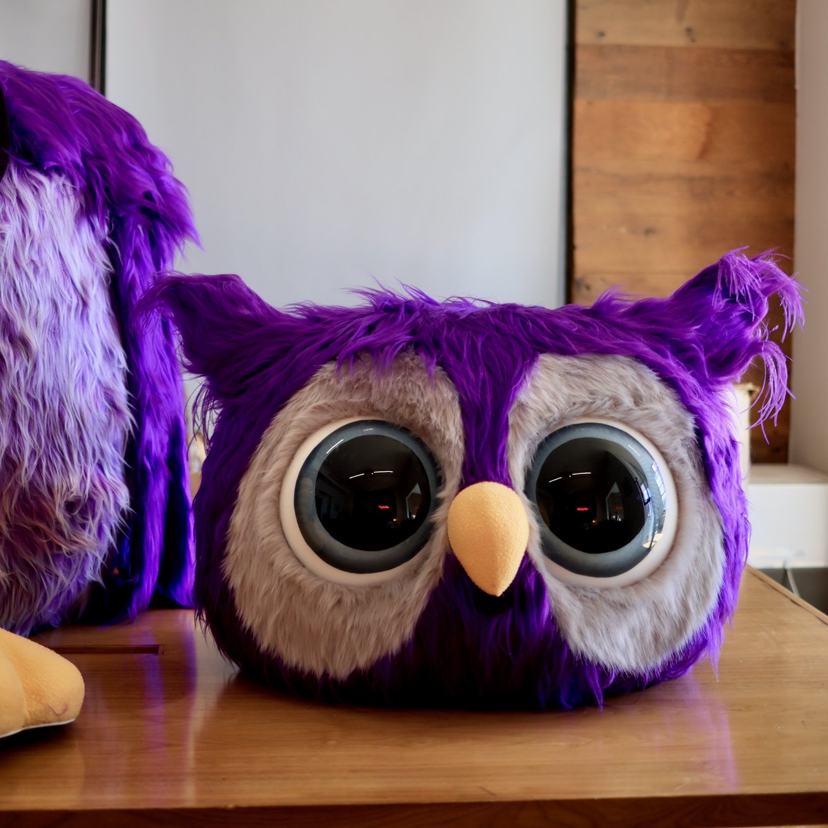 Furry Puppet Studio tweet media