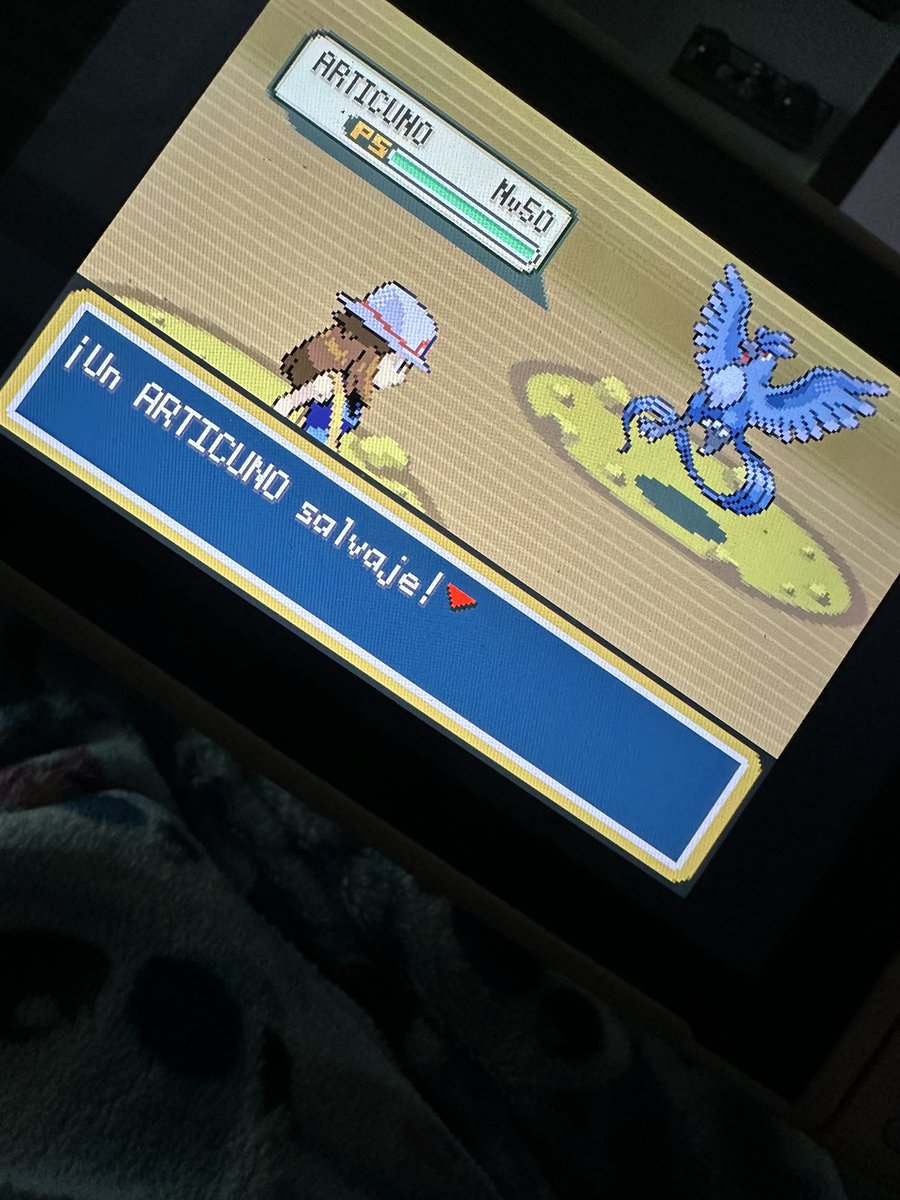 狼 Míriam tweet media